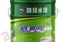 益陽乳膠漆是什么